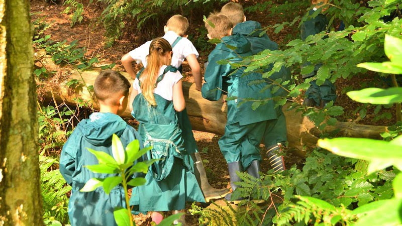Children climbing over a log in a forest school session.
