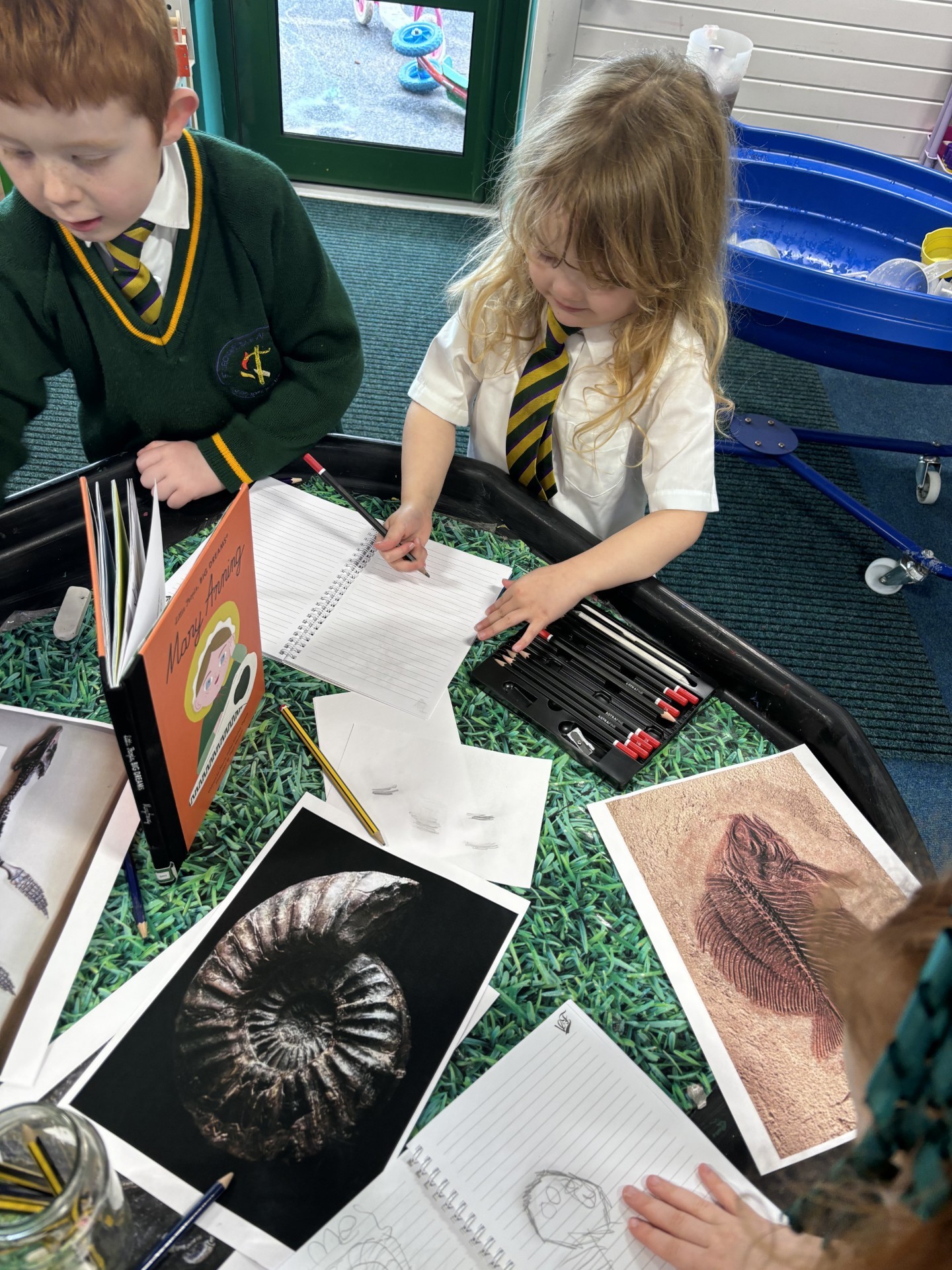 Children drawing fossils