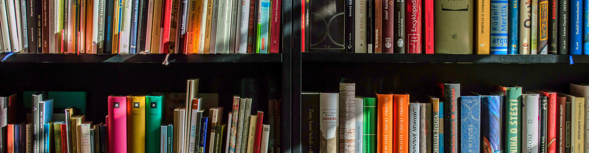 Library books on a shelf.