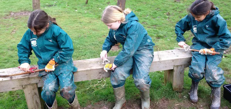 Three children shaping wood during a Forest School session.