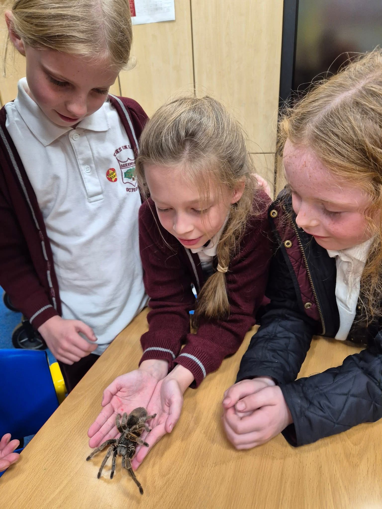 Three children with a tarantula.
