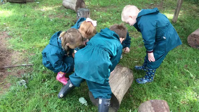 A small group of children working together in a Forest School session.