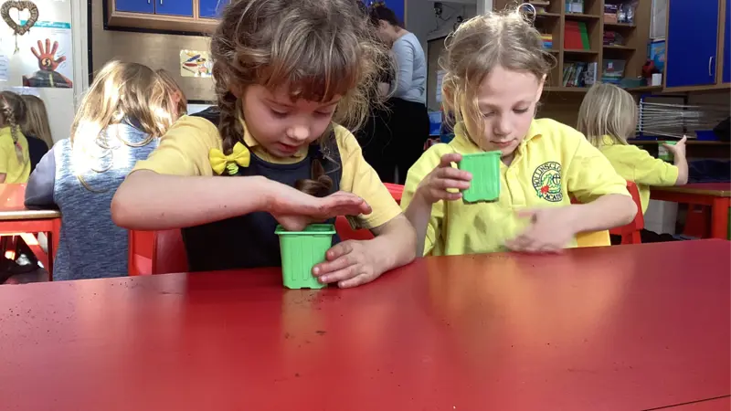 Two children planting seeds in a Science lesson.